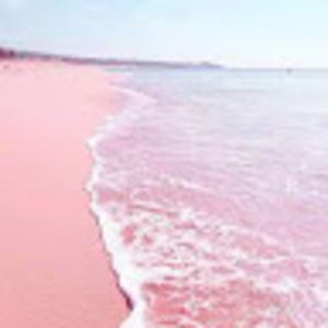 Meet your Posher, Ella